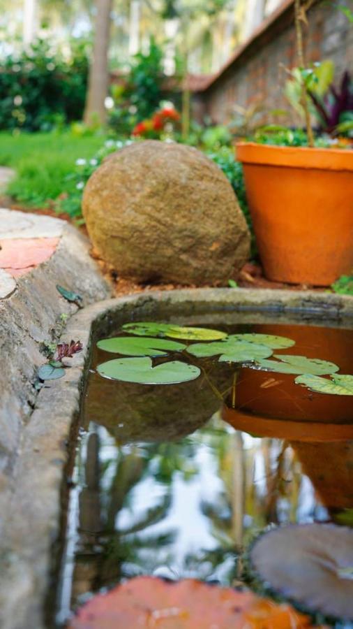 Dr Nisha'S Vedic Remedies Thiruvananthapuram Zewnętrze zdjęcie